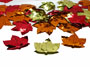 Leaf Confetti by the pound or packet